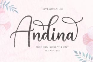 Andina Script: The Modern Font for Elegant Branding