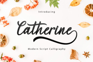 Catherine Script: Where Modern Elegance Meets Creative Versatility