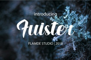 Fuister Script: A Bold Script Font for Modern Branding