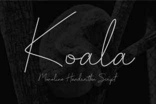 Koala Script: Crafting a Genuine Brand Voice