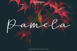 Pamela Script: Adding Upscale Elegance to Your Design Projects