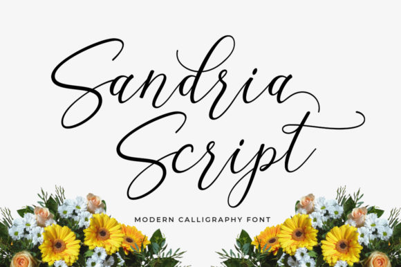 Sandria Script: Adding Elegant Feminine Style to Your Designs