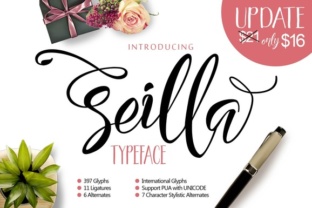 Seilla Script: A Modern Lettering Typeface for Today's Designs